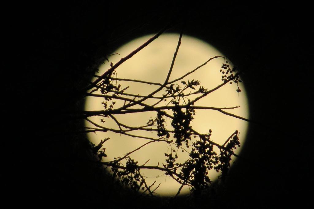 Pousada Luna Zen Pirenópolis Eksteriør billede